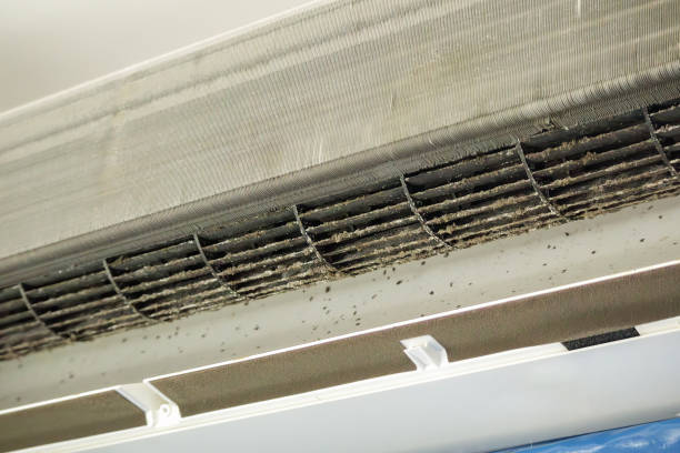 Best Commercial HVAC Duct Cleaning  in Edinboro, PA